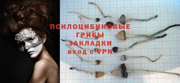 ПСИЛОЦИБИНОВЫЕ ГРИБЫ Заволжье