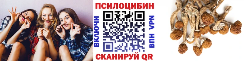 хочу наркоту  OMG как войти  Псилоцибиновые грибы мухоморы  Кочубеевское 